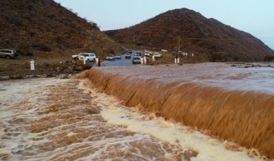 Rain in Saudi Arabia has killed 14 in recent days.