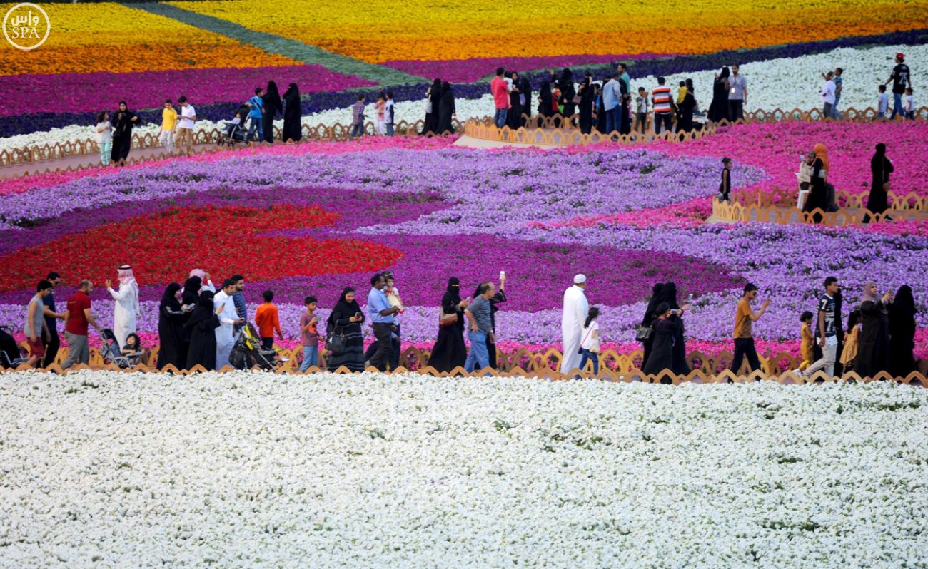 amazing flower festivals color saudi cities | sustg – news