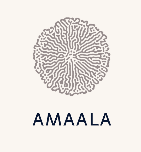 Construction on AMAALA will begin this year.