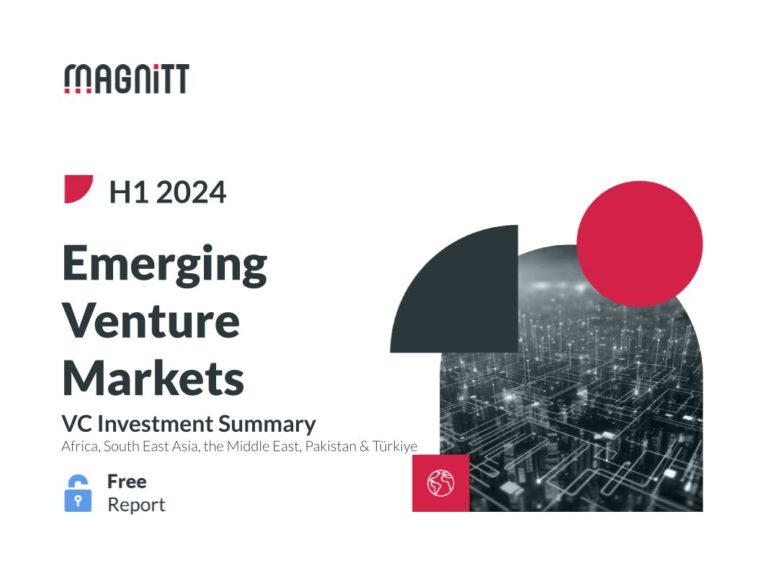 Magnitt, H1 24 report