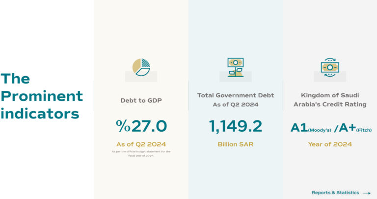 National Debt Management Center, graphic