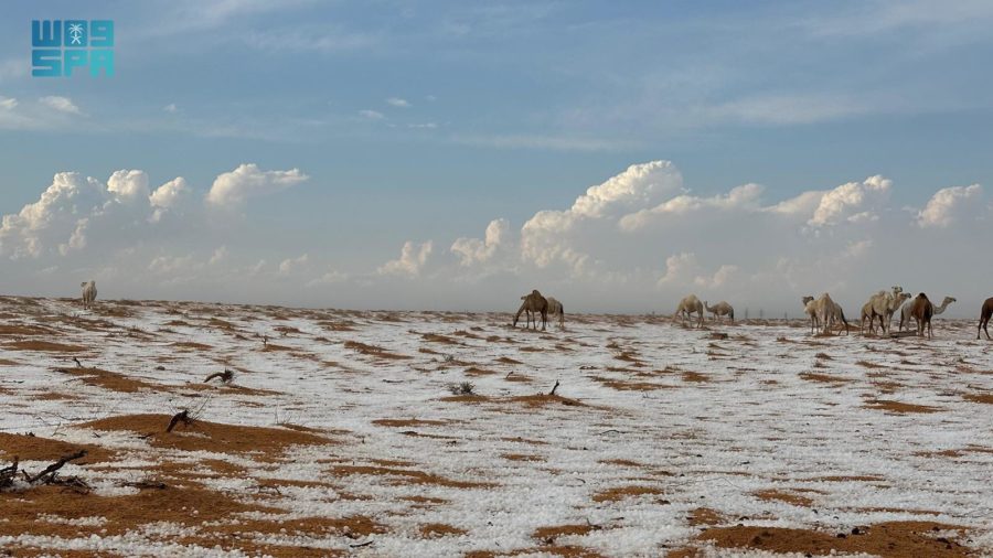 Saudi snow, 1