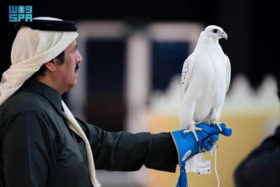 Falcon, King Abdulaziz Festival