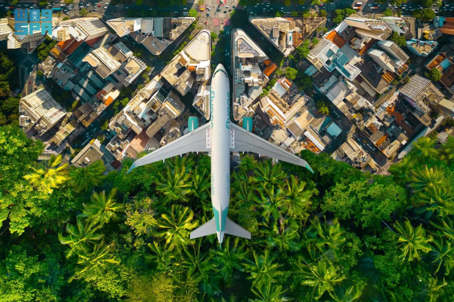 Airplane over Saudi, Flynas